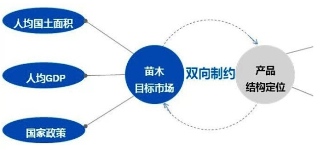 學(xué)習(xí)國外苗木行業(yè)經(jīng)驗(yàn)，搶先了解國內(nèi)市場動態(tài)