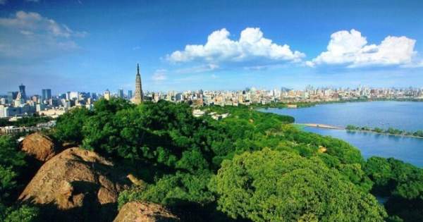 學(xué)習(xí)國外苗木行業(yè)經(jīng)驗(yàn)，搶先了解國內(nèi)市場動態(tài)